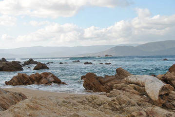 corse
