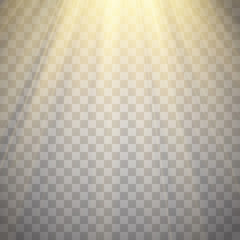 Rays of light isolated on transparent background. Golden spotlight. Sun flash. Vector illustration