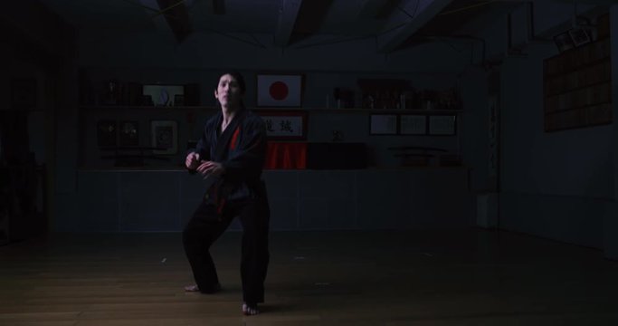 Japanese male practicing Karate in Dojo in Tokyo, Japan