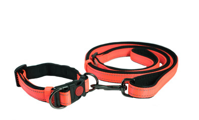 Pet accessories concept. Pet collars and leashes on isolated white background.