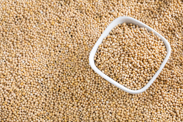 Yellow grain mustard - Sinapis alba