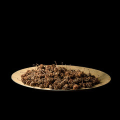 Erle Zapfen Baum Naturprodukt Ernten Samen Saat Schale Deco