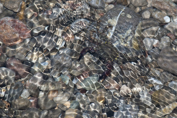 pebbles on the seabed transparent water 