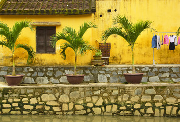 A wall in the historic UNESCO listed central Vietnamese town of Hoi An, where yellow walls are traditional
