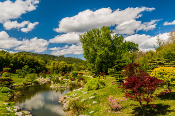 The Japanese garden in the park of Anduze being in the French department of Gard, France, Europe,...