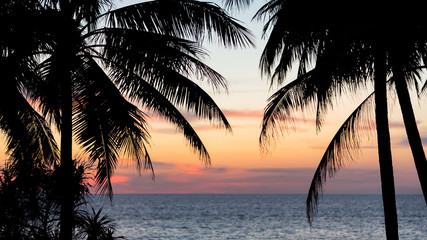 Naklejka na ściany i meble Silhouettes of tropical palms on the beach at sunset. Beautyful multicolor sky and sea view - picturesque seascape