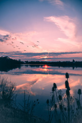Sunset at a lake - 200136261