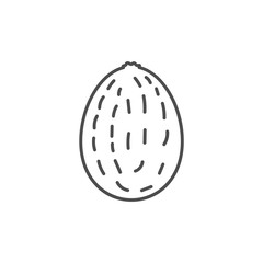 Flat outlined kiwi icon illustration for design