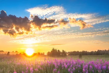Zelfklevend Fotobehang landelijk landschap met zonsopgang en bloeiende weide © yanikap