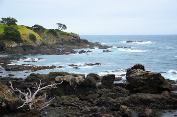 Fototapeta na wymiar Rocky coastline in north of New Zealand