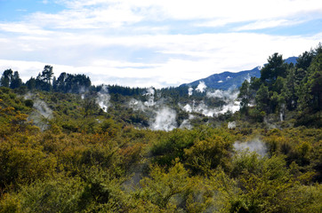 Obraz premium Geothermal activity in New Zealand