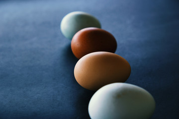 Chicken eggs show natural color from farm