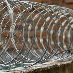 Close-up of barbed wire fence, Zona Centro, San Miguel de Allende, Guanajuato, Mexico