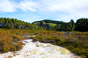 Fototapeta na wymiar Geothermal landscape in New Zealand