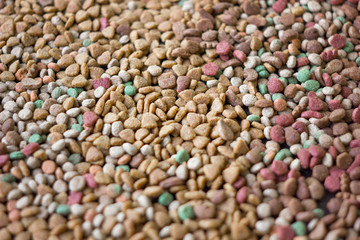 Dry pet food background.