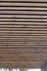 Wooden canopy in the sunshine