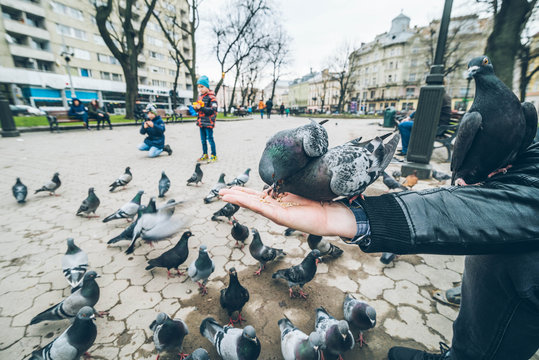 young man feed doves in city park.