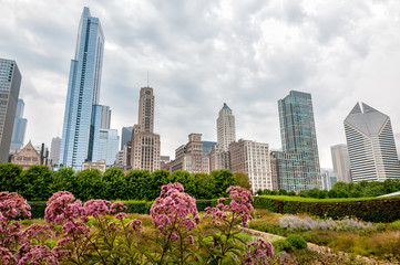 View of Chicago cityscape with skyscrapers from Millenium Park in cloudy day, Illinois, USA