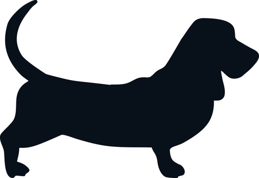 Basset hound silhouette black