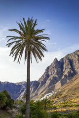 Fototapeta na wymiar Gran Canaria scenery