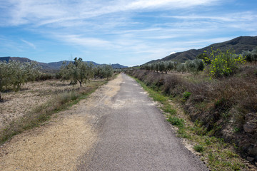 The green way of Lucainena under the blue sky in Almeria