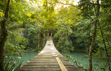 Tranquil Forest Footbridge In Belize © THP Creative
