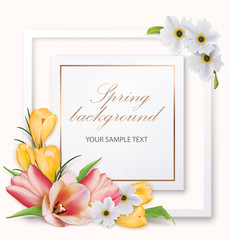 Spring background with tulips, crocuses, anemones and frame. Vector illustration