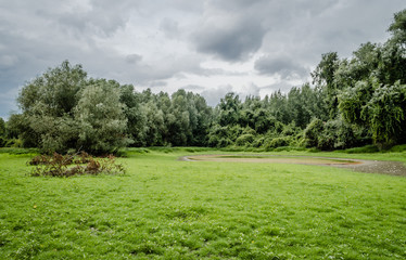 Fototapeta na wymiar Swamp in Petrovaradin near the town of Novi Sad 