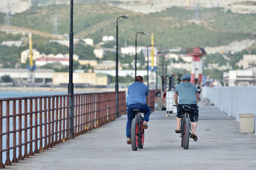 Two men ride bicycles with large wheels and plump tires, the view from the back