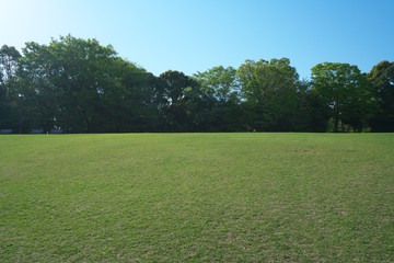 Tokyo, Japan-April 10, 2018: Green lawn surrounded by trees in park on a sunny spring morning.