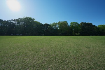 Tokyo, Japan-April 10, 2018: Green lawn surrounded by trees in park on a sunny spring morning.