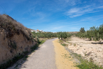 The green way of Lucainena under the blue sky in Almeria