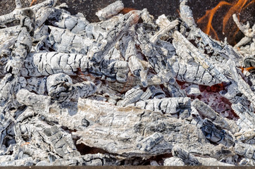 Bonfire with flame and ashes