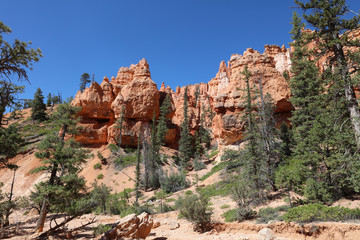 Rock Hoodoos im Bryce Canyon Nationalpark in Utah. USA