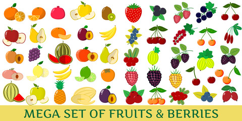 Mega set of fresh fruits and berries illustrations on a white background.