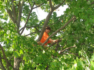 Climb a tree