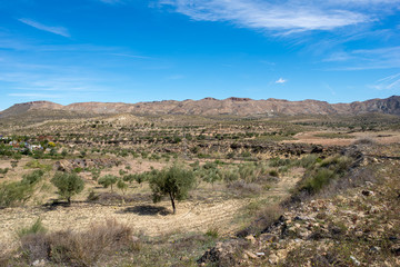 The green way of Lucainena under the blue sky in Almeria