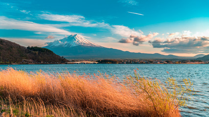 Mount Fuji and Dry grass at Kawaguchiko lake in Yamanashi Prefecture,Japan.Teal and Orange color tone look.