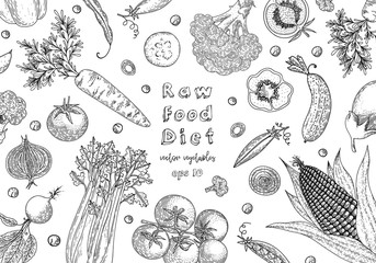 Organic food design template. Fresh vegetables. Detailed vegetarian food drawing. Farm market product. Great for label, design menu, recipes, poster, packaging design, wrapping paper.