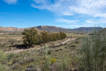 The green way of Lucainena under the blue sky in Almeria