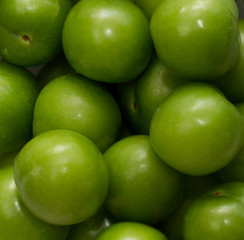 green plums 