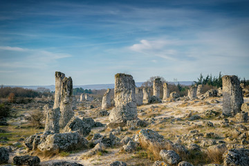 Pobiti Kamani, The Stone Forest near Varna in Bulgaria - obrazy, fototapety, plakaty
