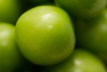 green plums 