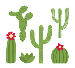 Set of cactuses. Isolated on white background. Vector illustration.