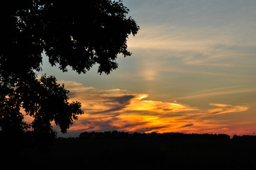 Golden sunset sky above the silhouettes of trees and field.