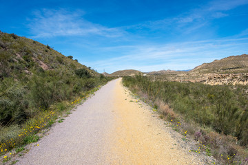The green way of Lucainena under the blue sky in Almeria