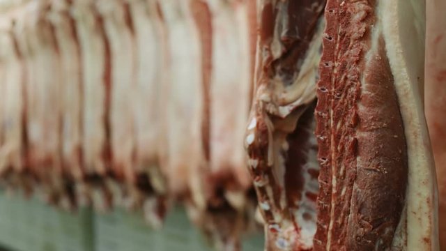 concept of killing domestic animals human cruelty against nature murder human killed animals by butcher hanging pigs pork meat slaughterhouse death blood food business bodies of dead animals nobody