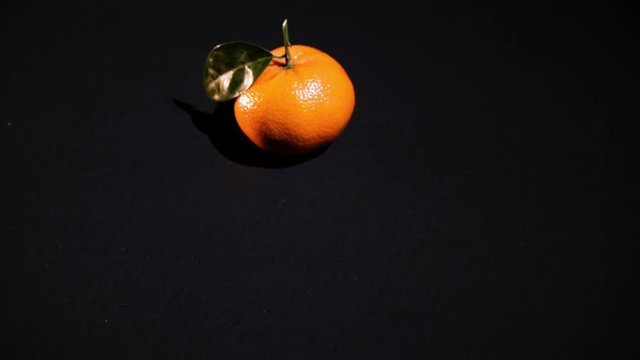 Two citrus mandarin with leafes on black background isolated animated