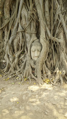 Obraz premium Wat Maha That