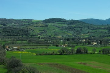 Fototapeta na wymiar Panoramic view of Italian hills and fields (Spello, Umbria, Italy)